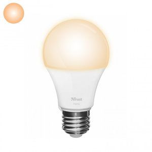 KlikAanKlikUit Zigbee Dimbare E27 LED Lamp ZLED-2209 - Flame White